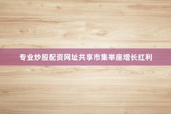 专业炒股配资网址共享市集举座增长红利