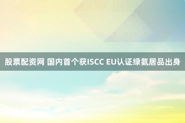 股票配资网 国内首个获ISCC EU认证绿氨居品出身