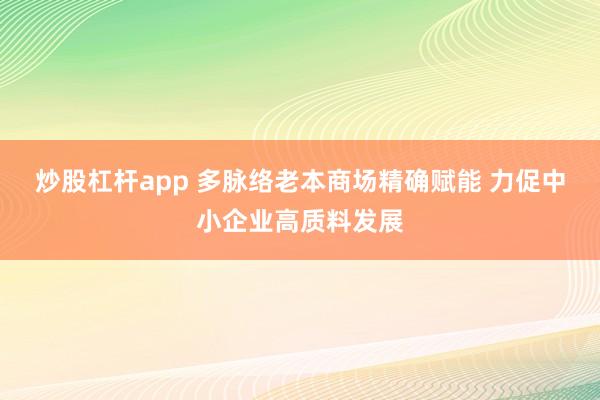 炒股杠杆app 多脉络老本商场精确赋能 力促中小企业高质料发展