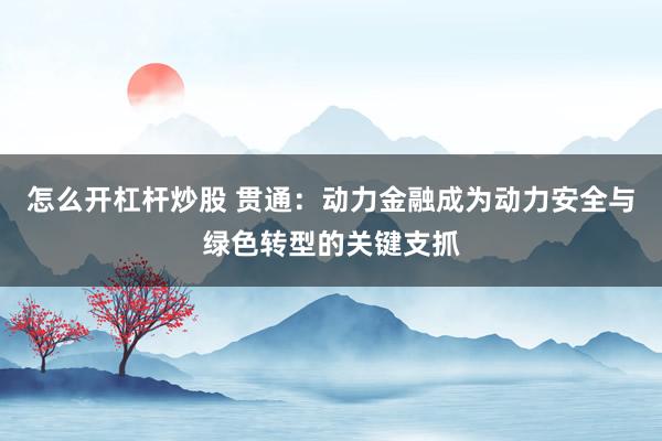 怎么开杠杆炒股 贯通：动力金融成为动力安全与绿色转型的关键支抓