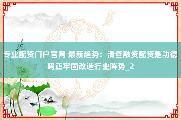 专业配资门户官网 最新趋势：清查融资配资是功德吗正牢固改造行业阵势_2